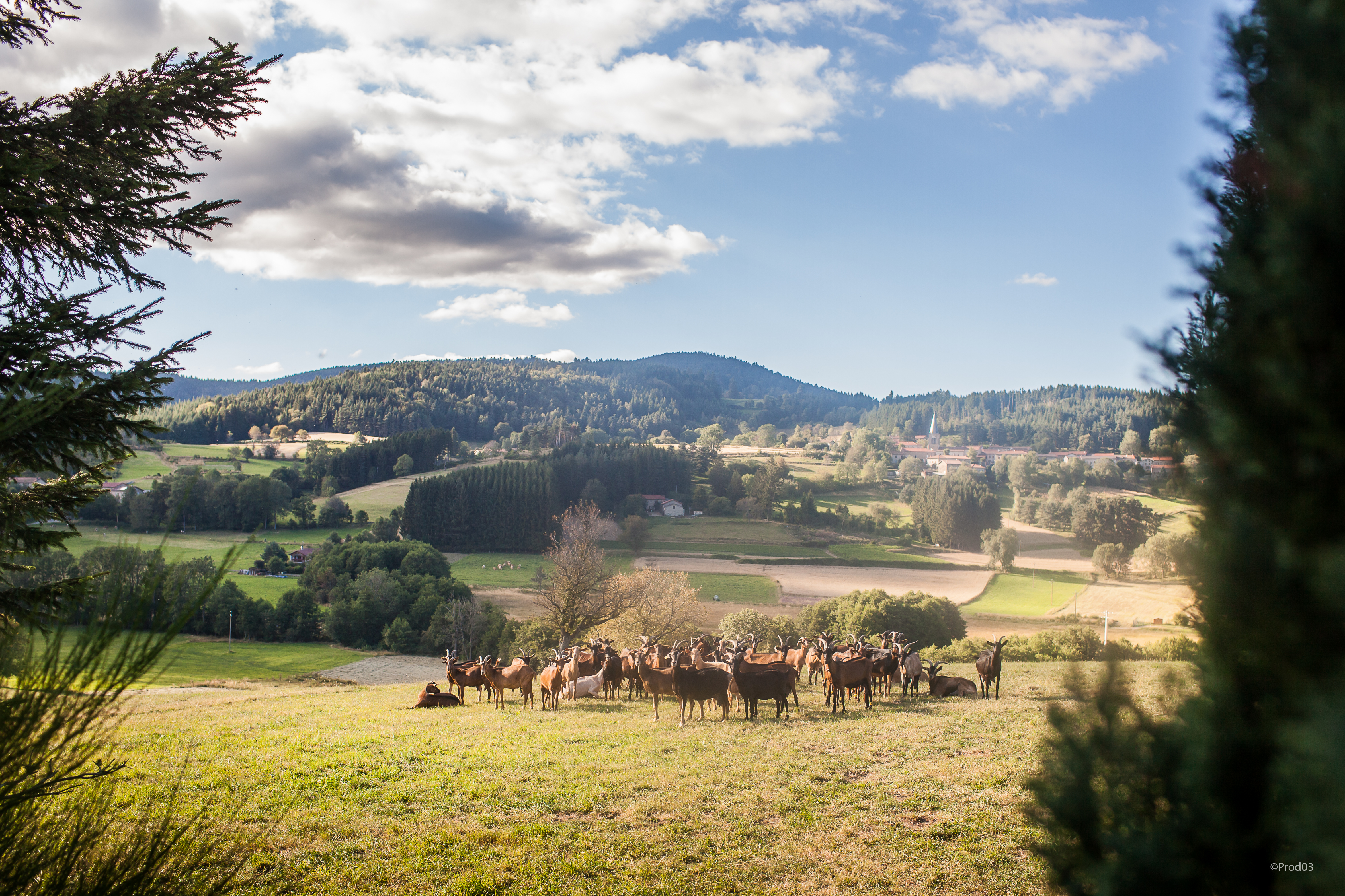 Atelier Plan Climat Air Energie // Thématique agriculture et forêt