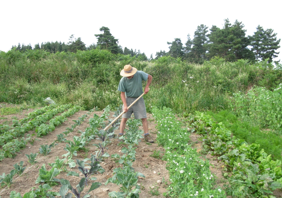 Les rendez-vous du patrimoine « Le maraîchage en biodynamie »