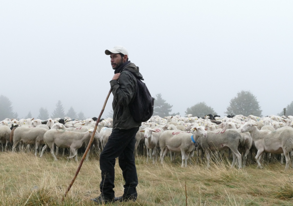 Les rendez-vous du patrimoine « Berger & pastoralisme sur les Hautes-Chaumes »