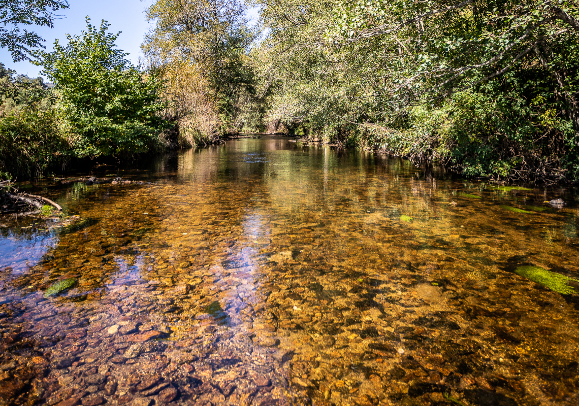 Balade Ance du Nord « Découvrons la biodiversité locales et ses usages ! »