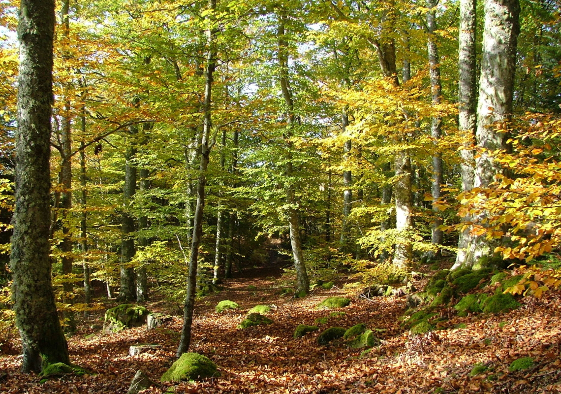 Les rendez-vous du patrimoine « Joueurs de nature »