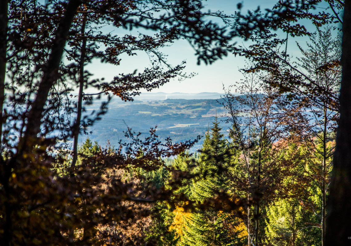 Chaleur Livradois Forez : des aides techniques et financières à destination des communes pour produire de la chaleur renouvelable