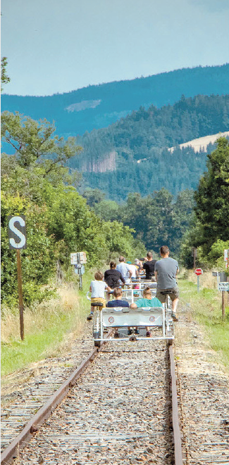 Les rendez-vous du patrimoine « À la rencontre d’un spécialiste de la forêt en vélorail »