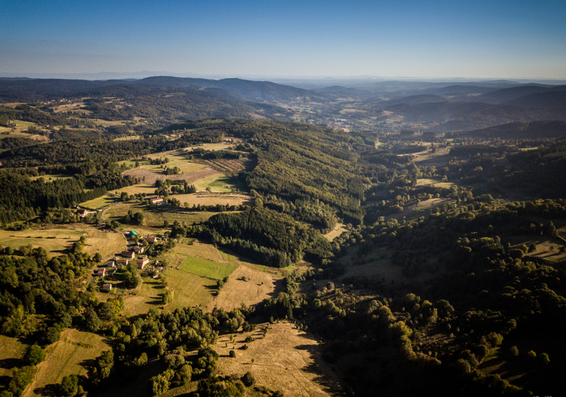 Projection du documentaire « le bois, source d’avenir dans le Livradois-Forez » // Ambert