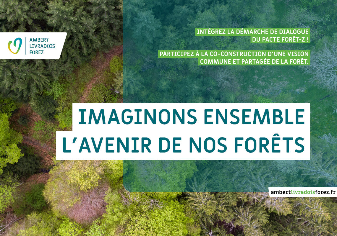 Participez à la démarche « Nos forêts demain face au changement climatique »