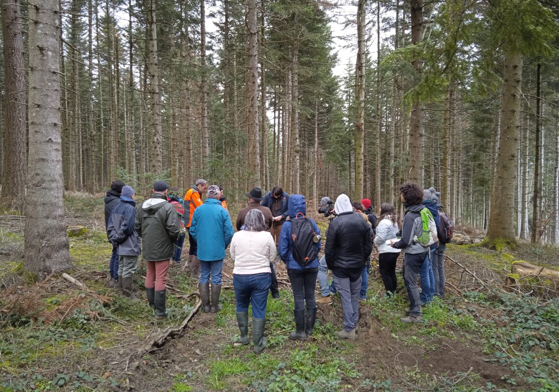 Forum de restitution du Pacte Forêt-Z