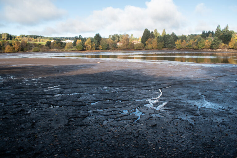 La vidange a progressivement révélé le fond du plan d'eau
