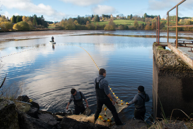 Plus de 2 tonnes de poissons ont été pêchées