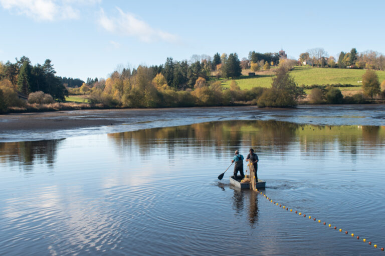 La pêche de sauvegarde s'est déroulée sur plusieurs jours
